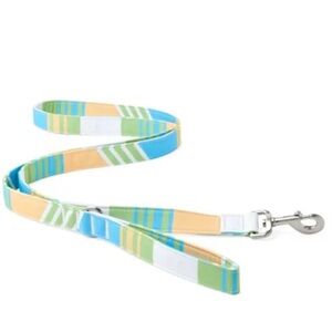 NWT Youly champion striped 6ft dog lead leash